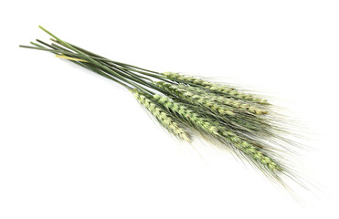 Fototapeta premium Bunch of green wheat spikes isolated on white