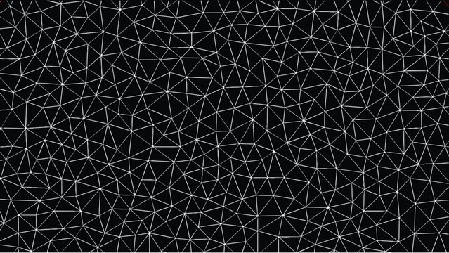 Abstract geometric white triangulation pattern on a black background representing digital mesh structure