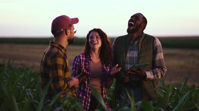 Three Farmers gather in a corn field as the sun sets. They laugh and share ideas while enjoying their time in the open space surrounded by plants.
