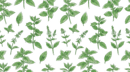 Hand painted watercolor vector seamless pattern of fresh organic green mint leaf and herbal sprig isolated on white background for kitchen textile wallpaper and botanical fabric design © Lang
