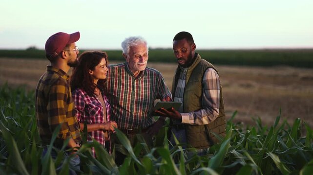 Four farmers gather in a field during sunset to talk about crops. They focus on a tablet to check information and share ideas. The moment shows teamwork in agriculture.