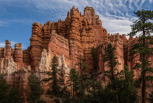 Hoodoos along Fairyland Loop Trail in Bryce Canyon, Utah