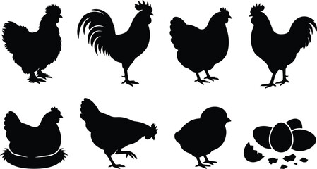 Obraz premium Chicken and Rooster Silhouette Collection with Hen Chick Nest and Eggs Black Poultry Vector Set