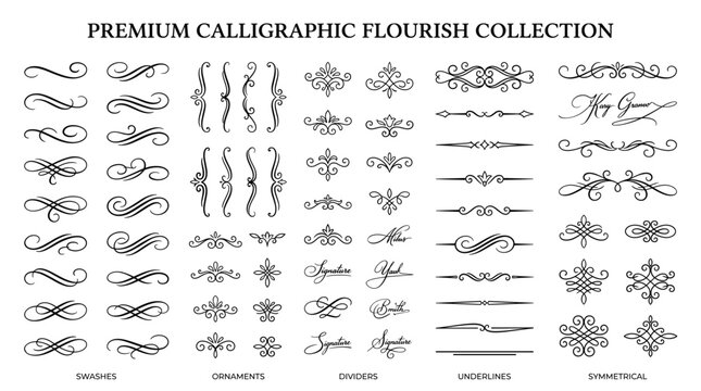 Elegant calligraphic flourish collection with swashes and ornaments