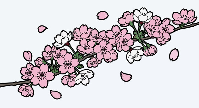 Sakura cherry blossom branch illustration with falling pink petals