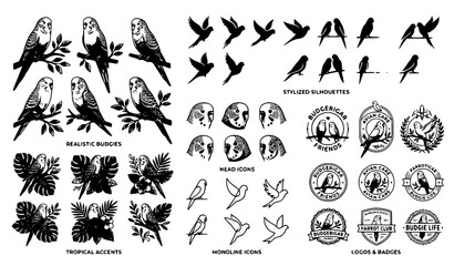 Fototapeta premium Budgerigar icon collection vector parakeet bird design