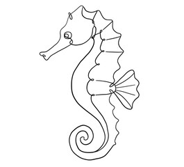 Detailed Line Drawing of Seahorse Profile © ImageFlow 