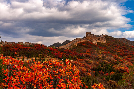 Badaling Great Wall with colorful autumn forest, Beijing, China. 
