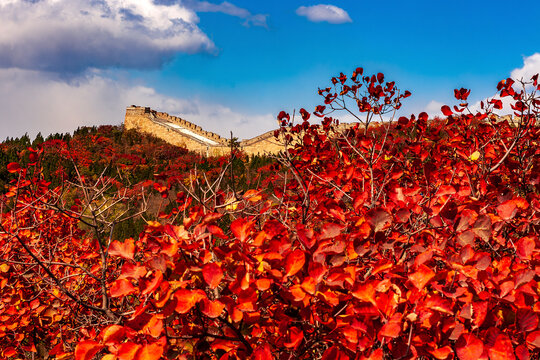 Badaling Great Wall with colorful autumn forest, Beijing, China. 