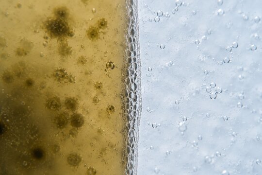permeable. Extreme close-up of a semi-permeable membrane separating murky liquid from clear liquid. STEM education sheets.