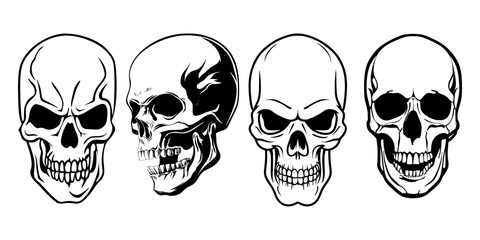 Obraz premium human skull anatomy vector 