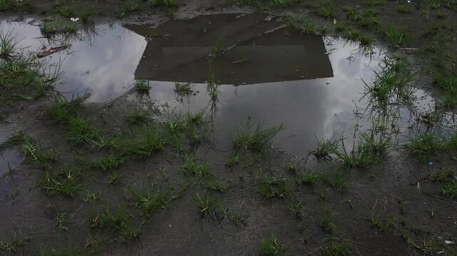 The shadow of part of building in puddle of water in outdoor area on bright day