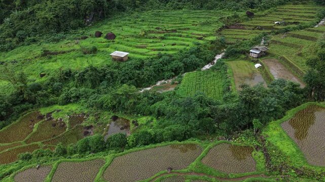 Rice terraces filled with water after rice harvesting on the sunrise.Aerial view of the rice field area, agricultural farms.