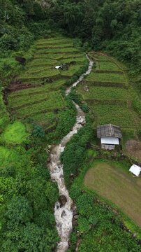 Rice terraces filled with water after rice harvesting on the sunrise.Aerial view of the rice field area, agricultural farms.