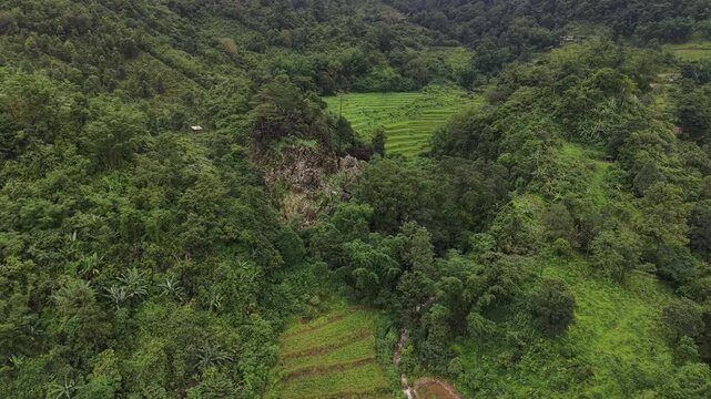 Rice terraces filled with water after rice harvesting on the sunrise.Aerial view of the rice field area, agricultural farms.