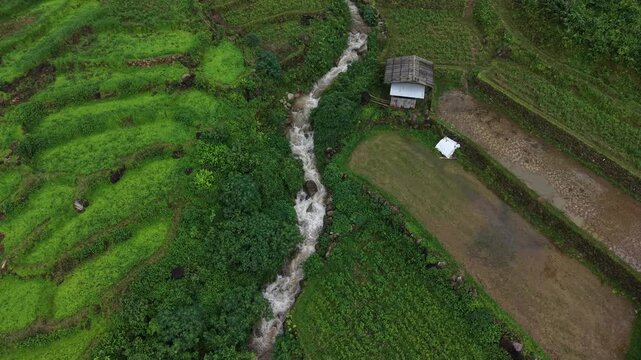 Rice terraces filled with water after rice harvesting on the sunrise.Aerial view of the rice field area, agricultural farms.