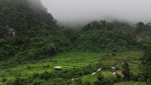 Rice terraces filled with water after rice harvesting on the sunrise.Aerial view of the rice field area, agricultural farms.