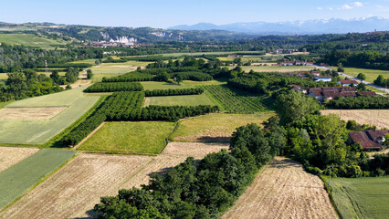 Obraz premium Aerial View of Piedmont Italian Countryside with Hazelnut Orchards and Alps