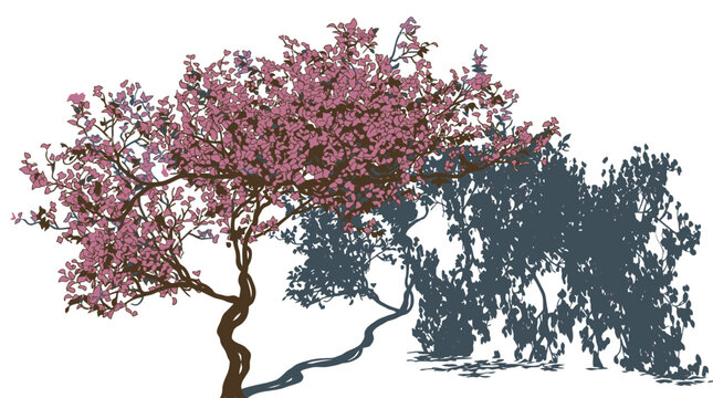 Ilustra&ccedil;&atilde;o art&iacute;stica de uma &aacute;rvore florida com flores cor-de-rosa vibrantes e uma silhueta de &aacute;rvore escura ao fundo, isolada em um fundo branco limpo para design gr&aacute;fico.