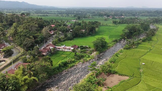Java Countryside. River, Rice Fields, Drone Aerial View.