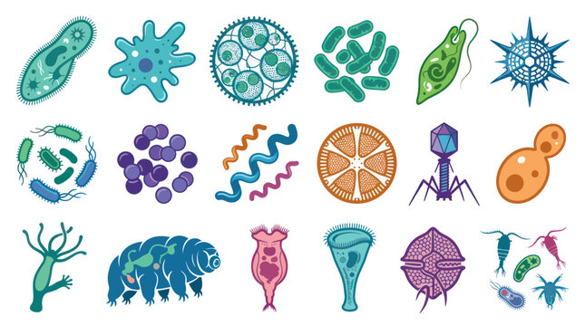 Diverse Microorganisms and Viruses in Flat Style - Scientific Illustration