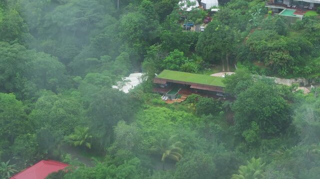Aerial drone footage reveals luxury resort buildings with green rooftops surrounded by dense tropical rainforest. Misty atmosphere drifts over palm trees and exotic vegetation on hillside.