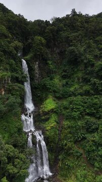 Amazing in nature, beautiful waterfall at colorful autumn forest in fall season Waterfall pool landscape
