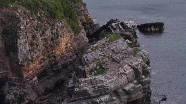 Limestone cliff French coast Crozon Peninsula Cape of the Goat France nature landscape