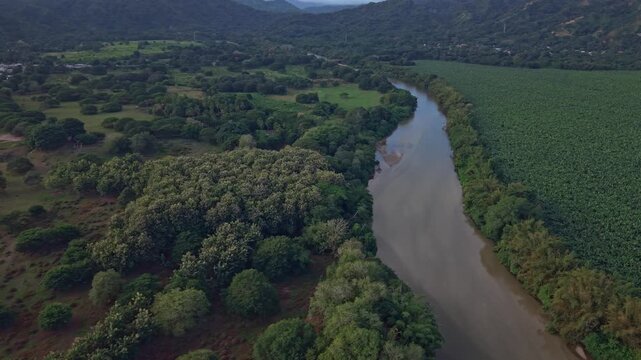 Aerial view of winding river bordered by dense green forest and open fields in Palomino