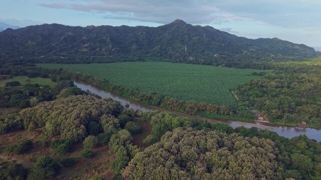 Aerial view of lush river valley and forested mountains near Palomino, Colombia