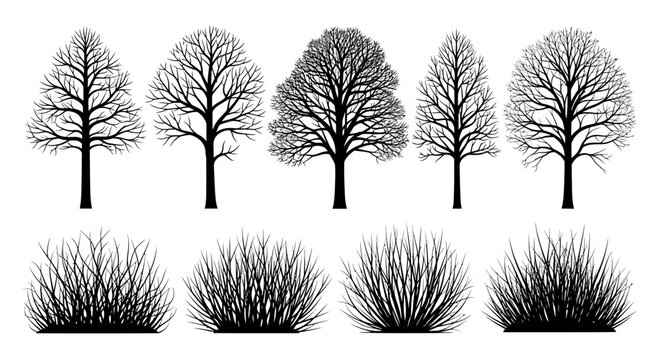 Vector collection of stylized bare tree silhouettes and leafless branches isolated on a white background, minimalist set for winter, autumn, and nature-themed graphic design projects.