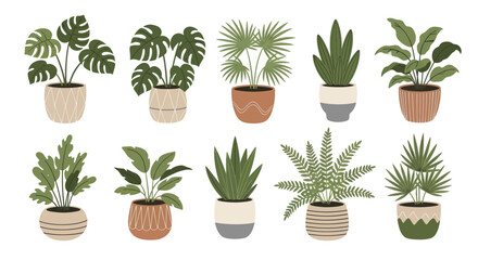 Collection of Various Potted Houseplants in Decorative Pots. © Wita