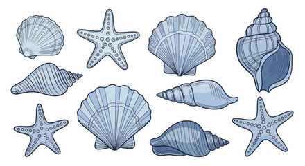Collection of various seashells and starfish illustrations. © Wita