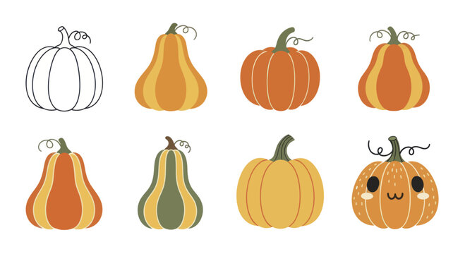 Collection of various pumpkins and gourds in different styles.