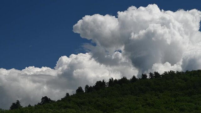 Dramatic cumulus clouds amass above a dense, green forested hillside under a bright blue sky, hinting at approaching weather.