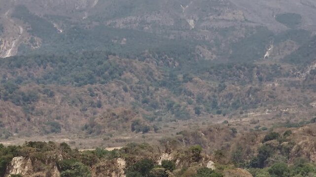 Tilt up revealing the Volc&aacute;n de Fuego summit from the green valley near Comala, Mexico