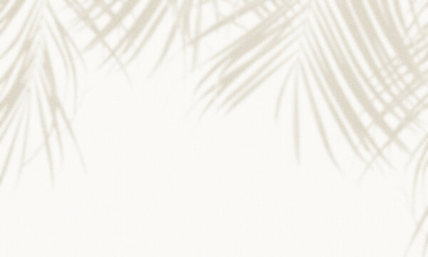 palm leaf shadows cast onto a warm, textured cream background.