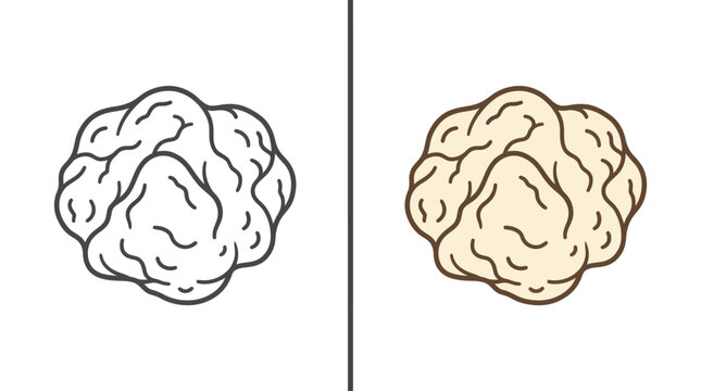 Two illustrations of a popcorn kernel in both line art and colored versions.