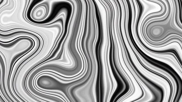Abstract Zebra Stripe Texture Modern Monochrome Linear Distortion Pattern Loop
