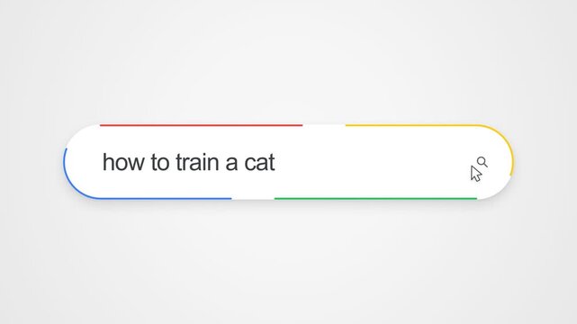 Search Bar Interface With Query How To Train A Cat - Digital Search Concept - Pet Care And Animal Training. close-up shot