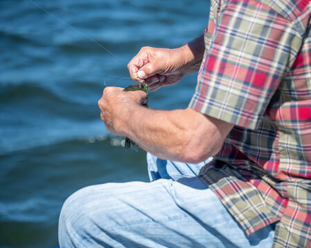 Fisherman removes worm and hook from mouth of small fish on a sunny day by the water