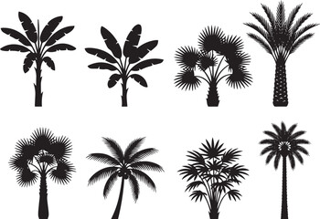 Fototapeta premium Tropical Palm Tree Silhouette Vector Set, Banana Tree and Exotic Plant Black Icons Collection