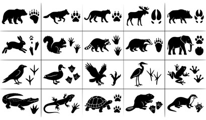Wild Animal Silhouettes with Footprints Bird Reptile and Mammal Tracking Icon Collection Vector © Sukumary