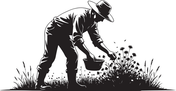 Man in hat scattering seeds from basket, standing in grass silhouette 