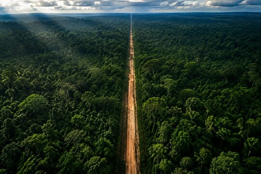 Aerial view of a dirt road cutting through a dense tropical rainforest.
