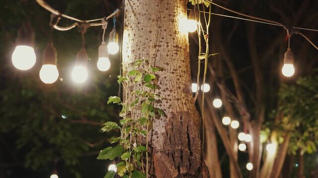 String lights illuminating a tree trunk in a night garden