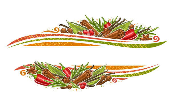 Vector Border for Spices