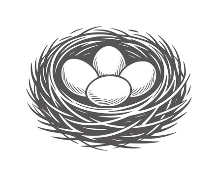 Hand drawn of a bird nest with four eggs hatch nature