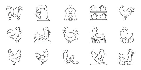 Set of linear outline icons featuring various chicken breeds, roosters, hens, and chicks for agricultural and livestock design © Tifany