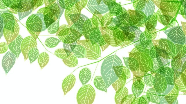 Lush Green Leaves Hanging Downward 4K